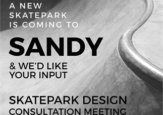 Sandy Skatepark Design Consultation Meeting - 19/01/22