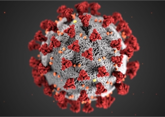 Coronavirus: you don’t know where they’ve been...